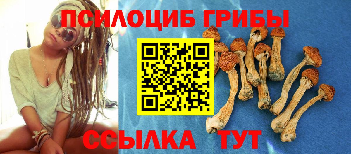 Галлюциногенные грибы мухоморы  Вход с VPN  Амурск  Галлюциногенные грибы Psilocybe 