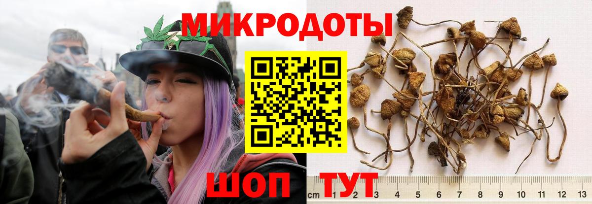 Галлюциногенные грибы мицелий Амурск